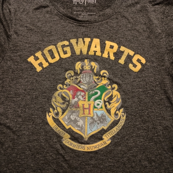 HOGWARTS HARRY POTTER T-SHIRT - Large // Wizard School Tee Shirt Fandom Crest - Picture 6 of 7